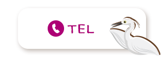 TEL